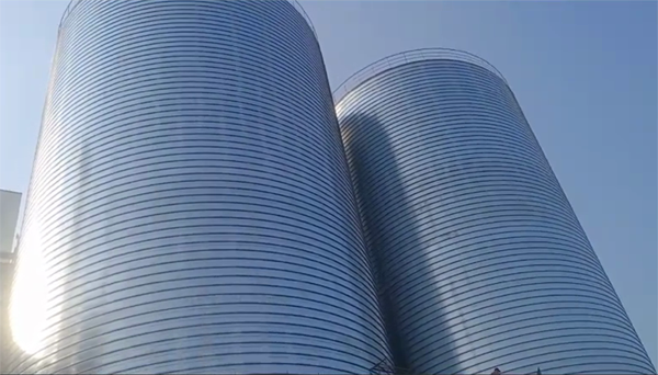 和布克赛尔2座混凝土高架卷板仓